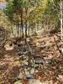 183 Bear Hill Road - Photo 46