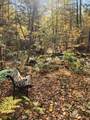 183 Bear Hill Road - Photo 47