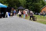 113 Woodshed Road - Photo 56