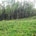 Lot 16 Oakes Road - Photo 6