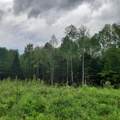 Lot 16 Oakes Road - Photo 7