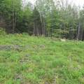 Lot 16 Oakes Road - Photo 8