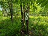150 Spur Road - Photo 33