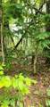  Pine Ridge Road - Photo 6