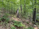 0 Ober Hill Road - Photo 3