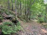 0 Ober Hill Road - Photo 4