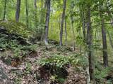 0 Ober Hill Road - Photo 6