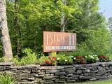 228 Birch Landing Road - Photo 54