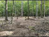 335 Coolidge Drive - Photo 1