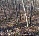 335 Coolidge Drive - Photo 2