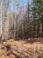 00 Davis Hill Road - Photo 17