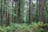 000 Vt Route 58E - Photo 10