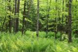000 Vt Route 58E - Photo 11