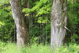 000 Vt Route 58E - Photo 16
