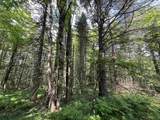00 Guyette Road - Photo 11