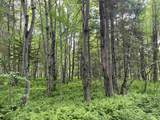 00 Guyette Road - Photo 8