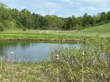 1204 Money Hole Road - Photo 15