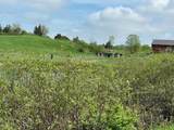 1204 Money Hole Road - Photo 20