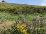 1204 Money Hole Road - Photo 21