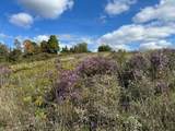 1204 Money Hole Road - Photo 26