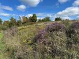 1204 Money Hole Road - Photo 27