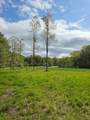 Lot 1C Daisy Lane - Photo 7