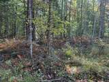 0 Green Mountain Road - Photo 24
