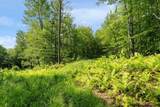 115 Stone Hill Road - Photo 15