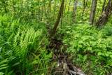 115 Stone Hill Road - Photo 18