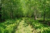 115 Stone Hill Road - Photo 7