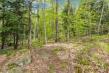 0 Phen Basin Road - Photo 9