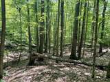 00 Greely Shunpike Road - Photo 13