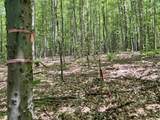 00 Greely Shunpike Road - Photo 19