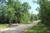 Lot 11 Squire Lane - Photo 11