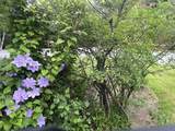 8B Deer Creek - Photo 31