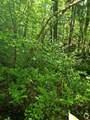 869 Stinson Lake Road - Photo 18