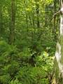 869 Stinson Lake Road - Photo 20