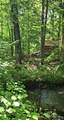 869 Stinson Lake Road - Photo 22