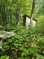 869 Stinson Lake Road - Photo 3
