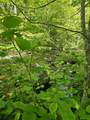 869 Stinson Lake Road - Photo 5
