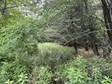 0000 Skiparee Road - Photo 12