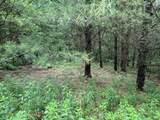 0000 Skiparee Road - Photo 15