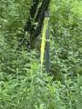 0000 Skiparee Road - Photo 6