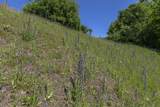 616 Rose Hill Road - Photo 14