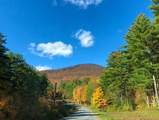 6311 Vt Route 7A - Photo 41