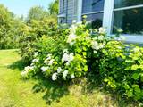 9 Buick Street - Photo 20