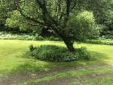 600 Bog Road - Photo 11