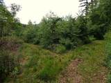 0 Marshall Phillips Road - Photo 11