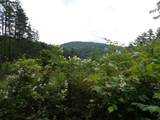 0 Marshall Phillips Road - Photo 12