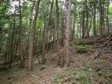 0 Marshall Phillips Road - Photo 15